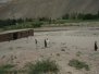 afghanistan-belkhaab