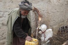afghanistan_-_tale-asleghan_33_20140223_1087833958