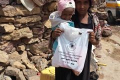 YemenReliefAid4-20170804